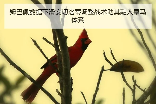 姆巴佩数据下滑安切洛蒂调整战术助其融入皇马体系