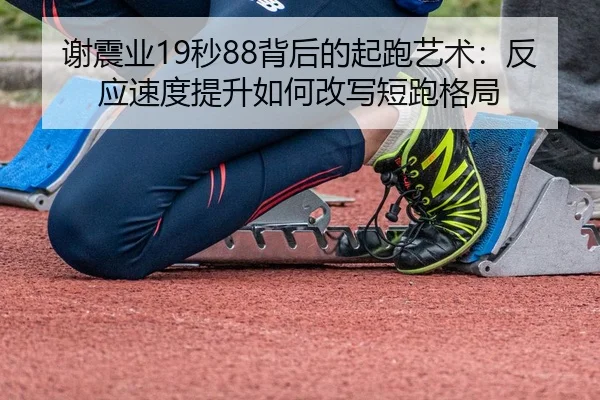 xie-zhen-ye-miao-bei-hou-de-qi-pao-yi-shu-fan-ying-su-du-ti-sheng-ru-he-gai-xie-duan-pao-ge-ju-2-279.jpg